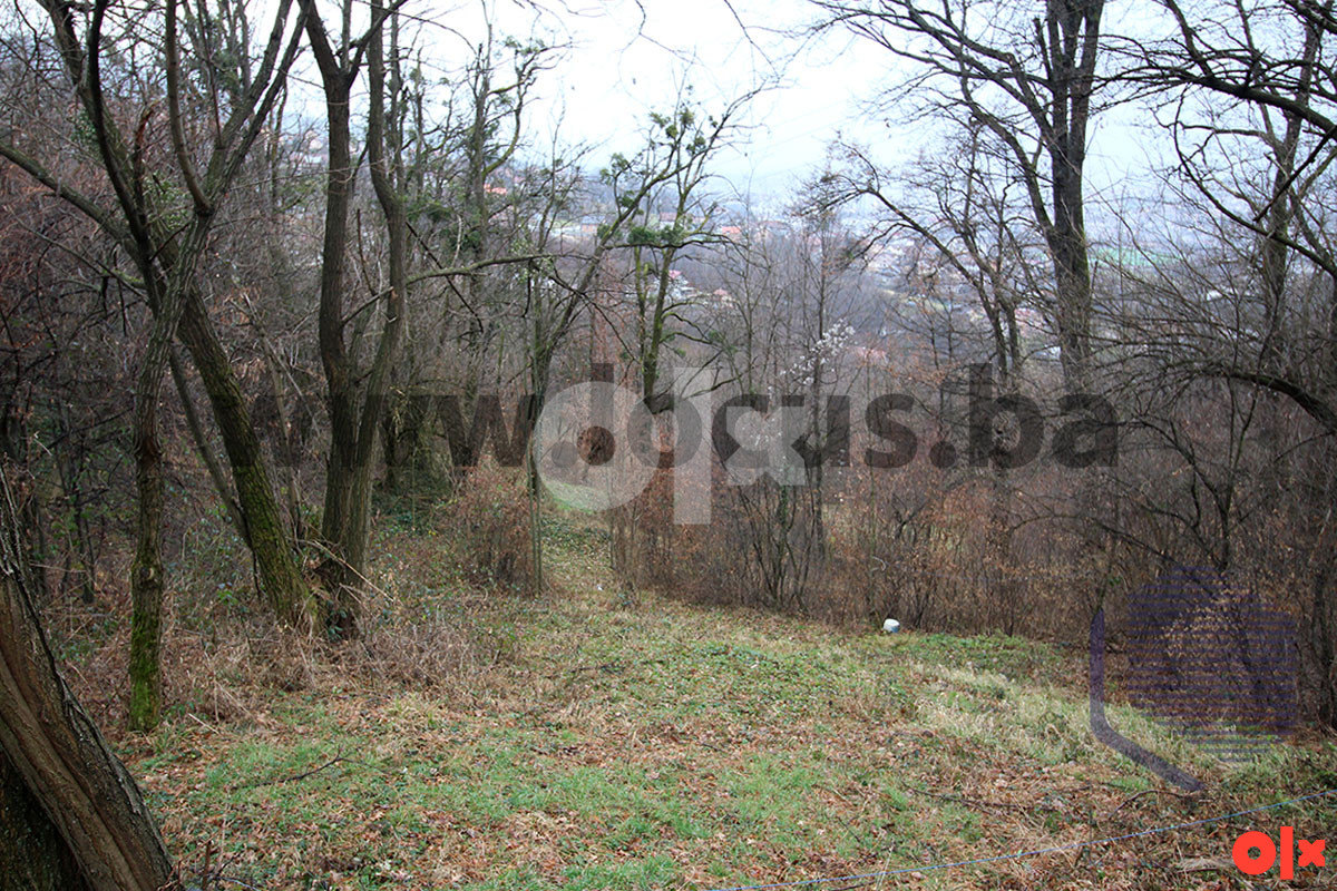 LOCUS: Zemljište 7.934m2, Pionirska dolina, Centar 4