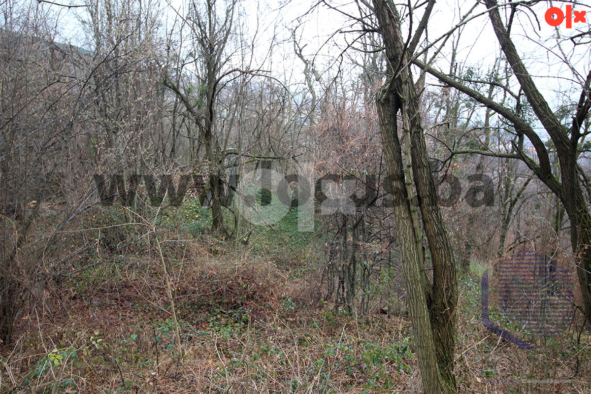 LOCUS: Zemljište 7.934m2, Pionirska dolina, Centar 5