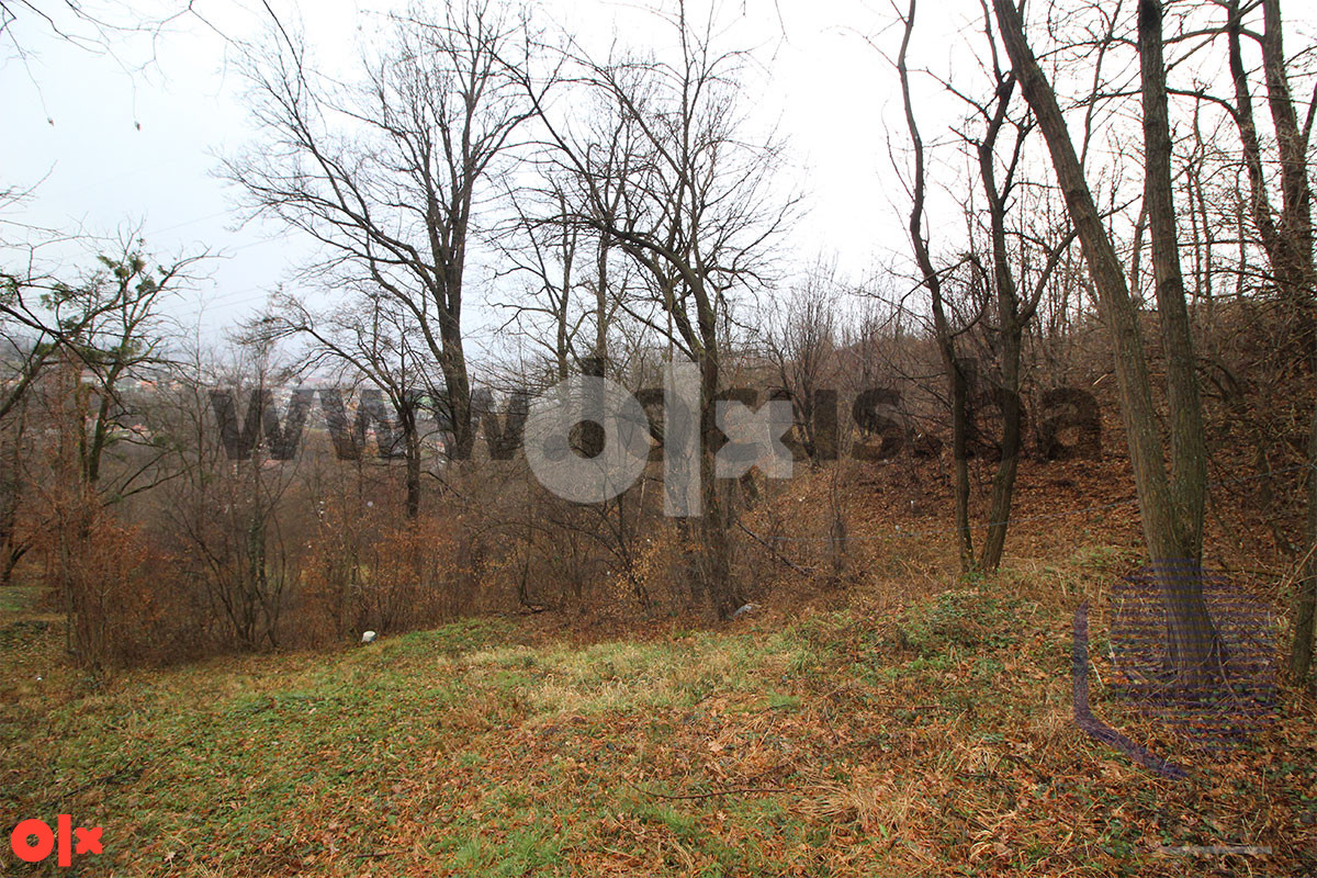 LOCUS: Zemljište 7.934m2, Pionirska dolina, Centar 6
