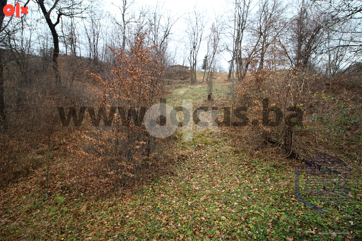 LOCUS: Zemljište 7.934m2, Pionirska dolina, Centar 7