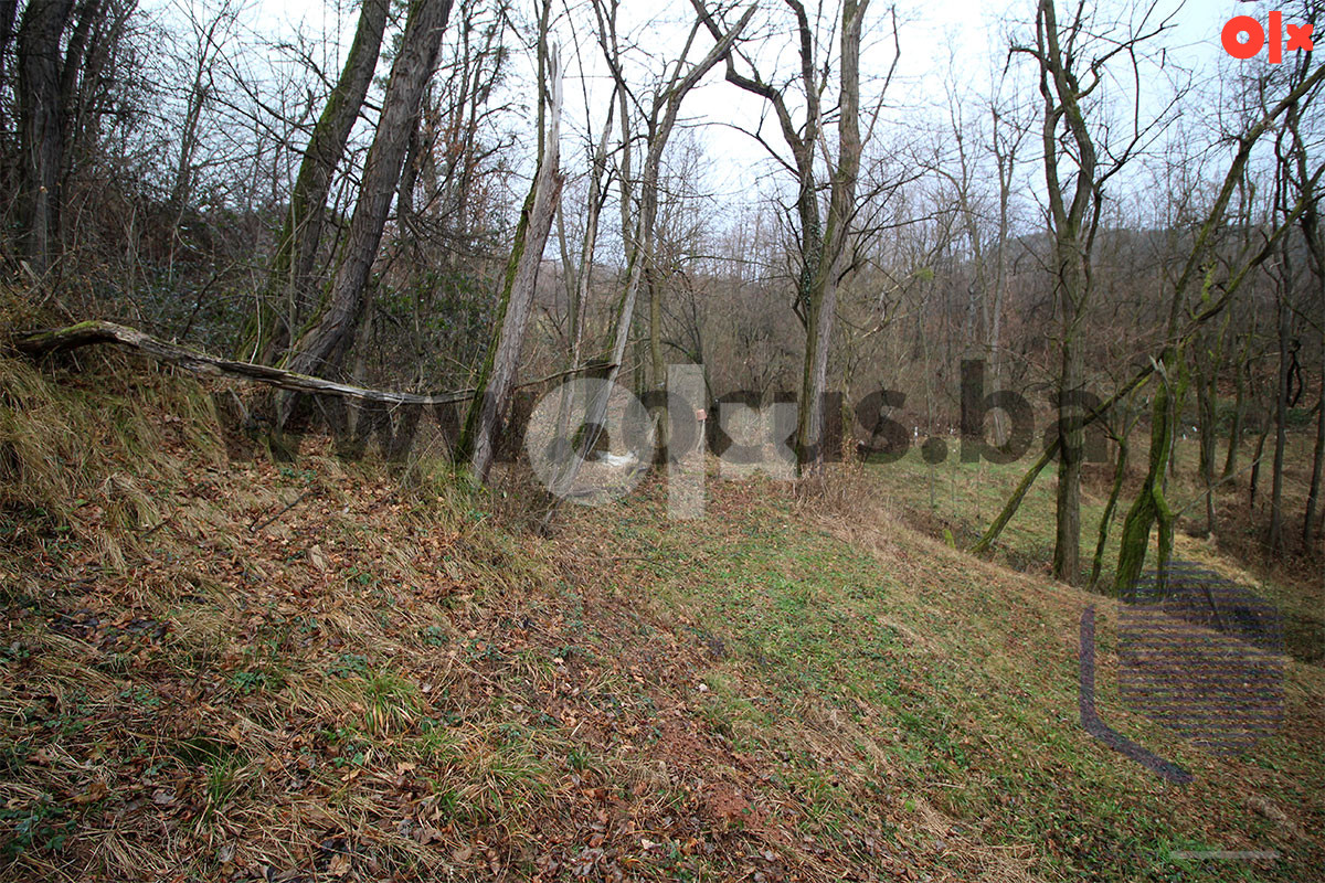 LOCUS: Zemljište 7.934m2, Pionirska dolina, Centar 8