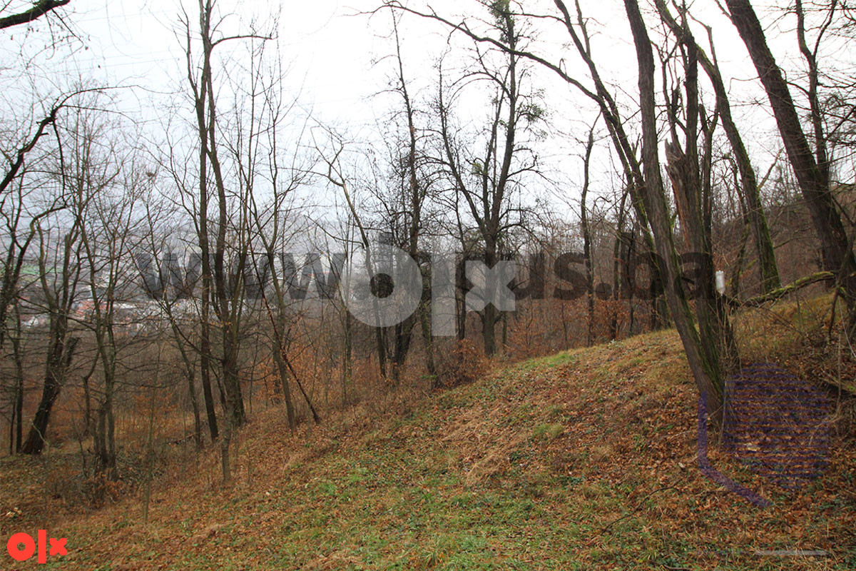 LOCUS: Zemljište 7.934m2, Pionirska dolina, Centar 9
