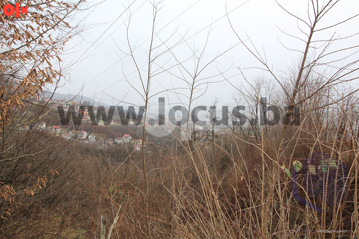 LOCUS: Zemljište 7.934m2, Pionirska dolina, Centar 10
