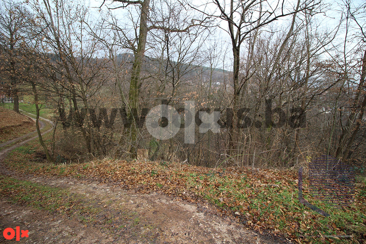 LOCUS: Zemljište 7.934m2, Pionirska dolina, Centar 11