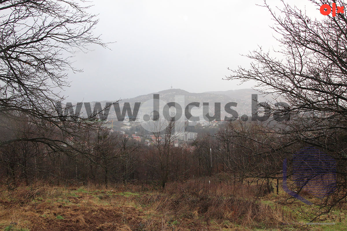 LOCUS: Zemljište 7.934m2, Pionirska dolina, Centar 13