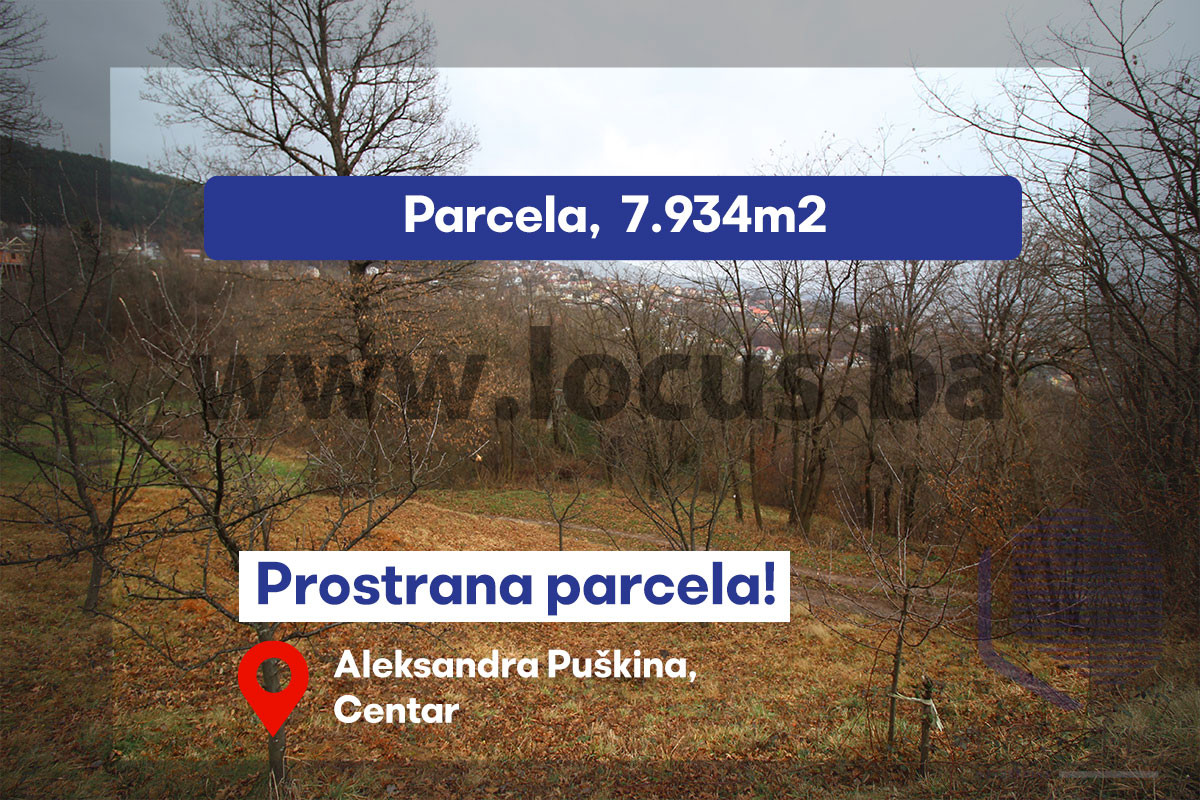 LOCUS: Zemljište 7.934m2, Pionirska dolina, Centar
