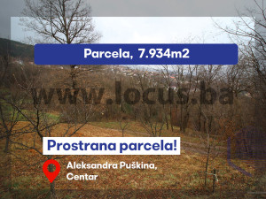 LOCUS: Zemljište 7.934m2, Pionirska dolina, Centar
