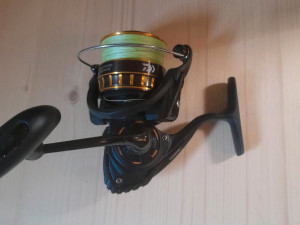 Daiwa BG 3000 (Shimano Sportex)