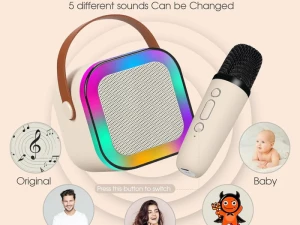BT KARAOKE SET SA DVA BEŽIČNA MIKROFONA
