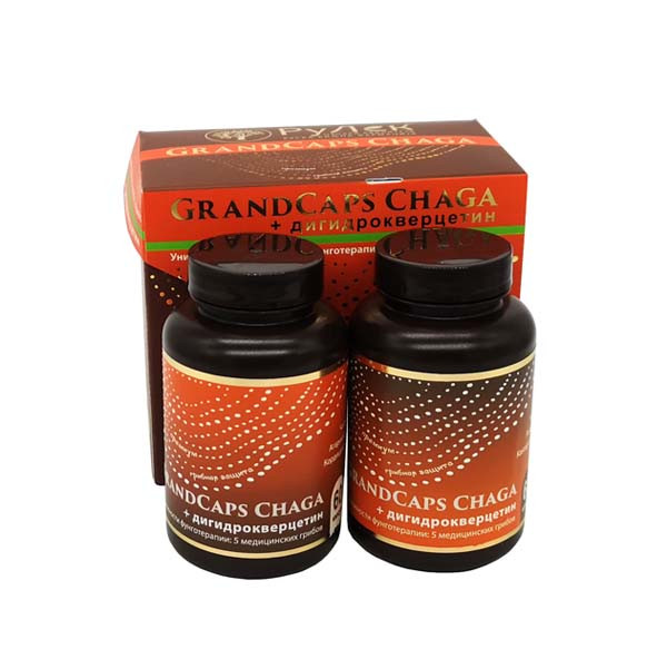 CHAGA + 5 Medicinskih gljiva uz DIHIDROKVERCETIN