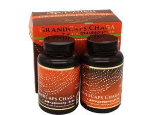 CHAGA + 5 Medicinskih gljiva uz DIHIDROKVERCETIN