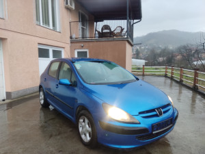 Peugeot 307 2.0 66KW Golf Passat BMW Polo Fabia