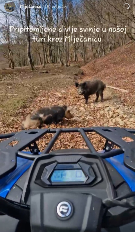 RENT A QUAD PRIJEDOR KOZARA IZNAJMLJIVANJE ATV CFMOTO  RENTA
