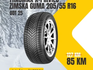 TRACMAX zimska guma 205/55 R16 205 55 16 X-PRIVILO S130 91V