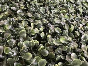 Dekoracija vještačka umjetna trava ograda panel 40x60cm