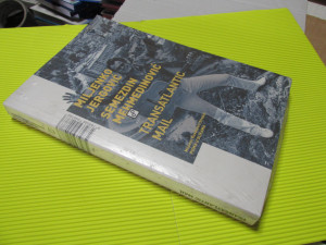 Transatlantic Mail - Jergović & Mehmedinović