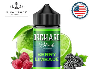 Five Pawns Berry Limeade 120ml 6mg