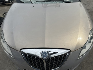 Hauba Lancia Delta 2013