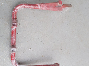 NOSAČ IGALA IGLA BALIRKA WELGER AP 52 53