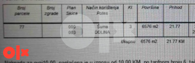 Šuma 6,6 duluma Islamovac Maoca Gornji Rahic - Widok 4