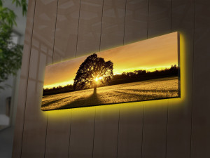 Ukrasna slika na platnu s LED osvjetljenjem 3090DACT-68   a.g
