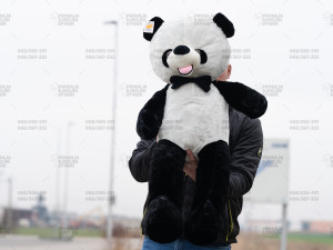 Medo / Plisani medo 100 cm / Medvjed / Panda