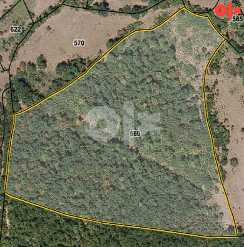 Zemljište Rogatica 49000m2+46000m2 šume 7