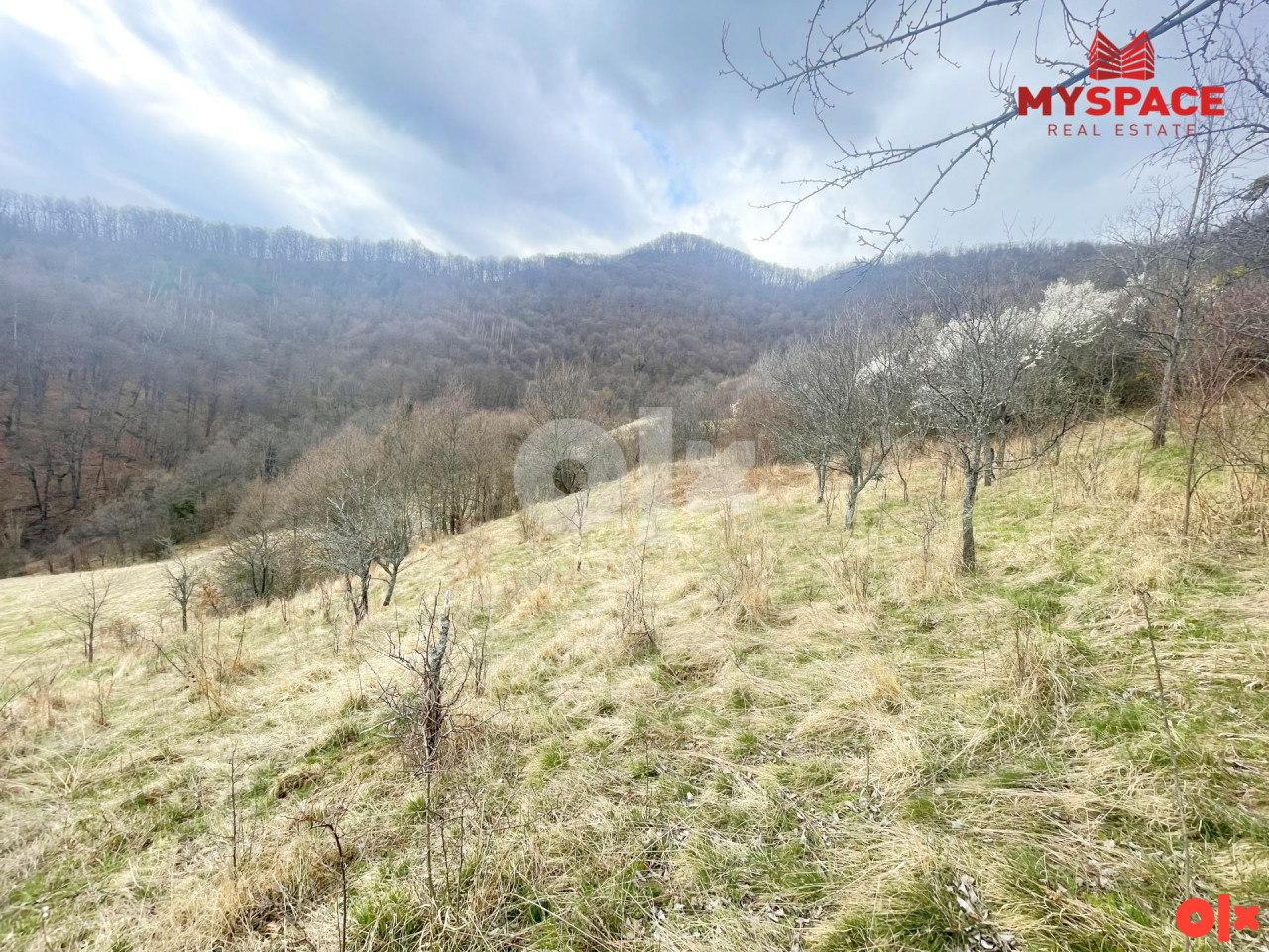 MY SPACE/ Zemljište/ Semizovac/ 29700m2 4