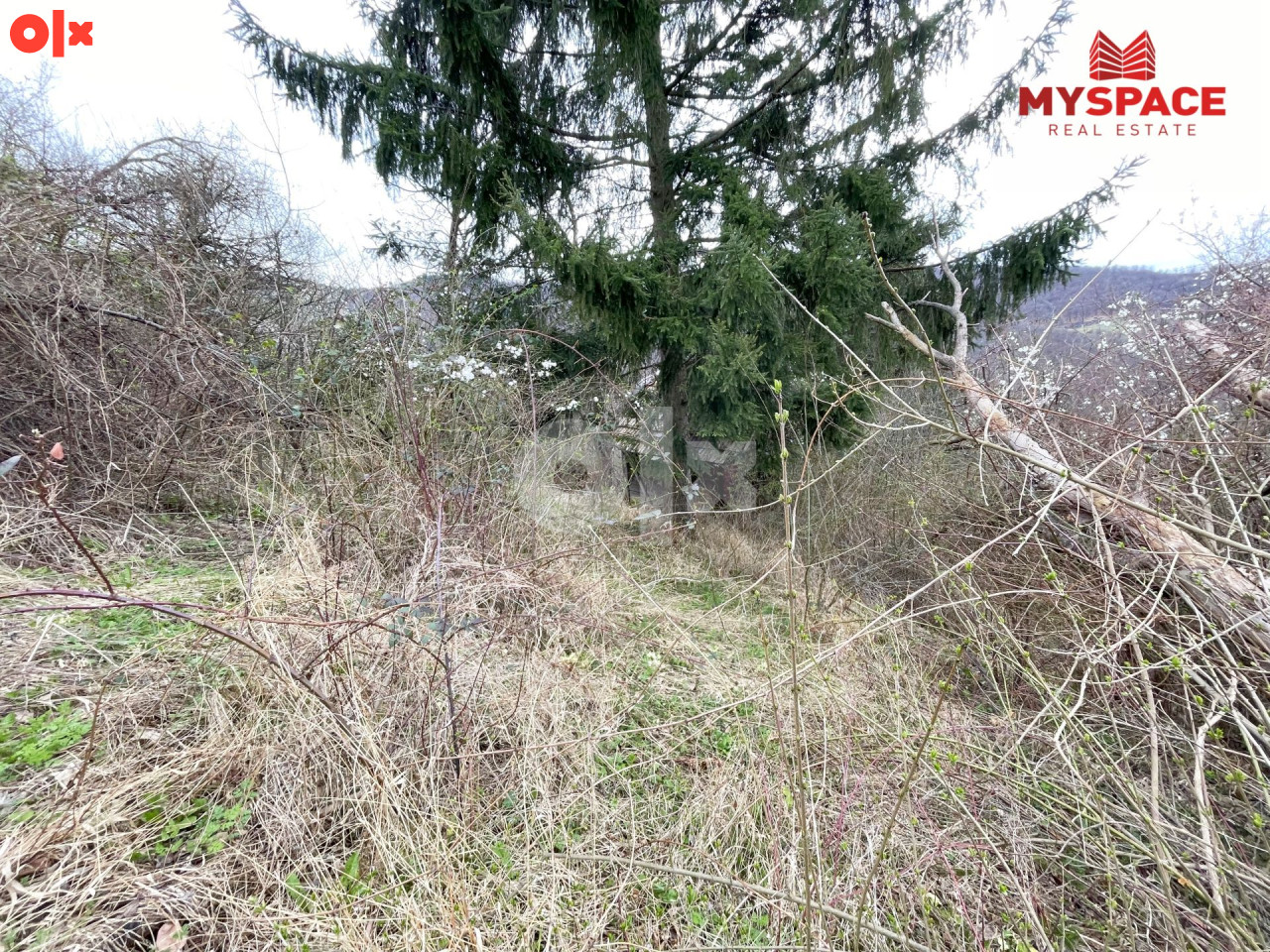 MY SPACE/ Zemljište/ Semizovac/ 29700m2 7