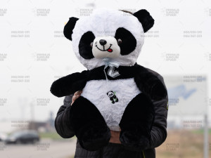 Medo / Plisani medo 60 cm / Medvjed / Panda