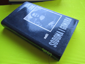 Sodoma i Gomora, Bora Ćosić