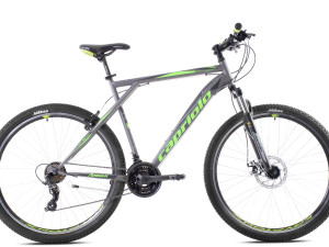 MTB bicikl-Capriolo Adrenalin Disc 29-21"-Silver-zeleni