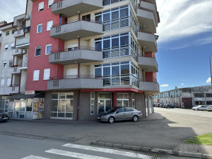 Poslovni prostor u Gradišci - 261,15 m2 photo 4