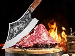 Profesionalna satara