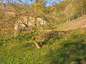 PROPERTY FOR SALE - 2 HOUSES + LARGE LAND PLOT - DOBOJ (Prizrenska Street) photo 5