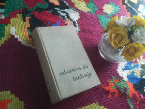 Odsustvo do buđenja