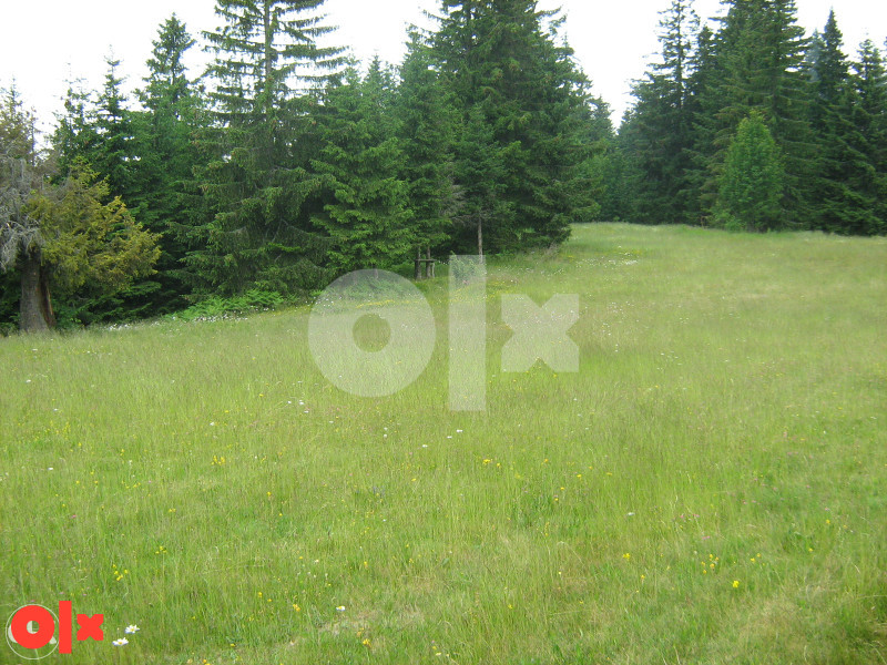Zemljište Vareš 70000m2  (pola livada -pola šuma)..Ravan dio 2