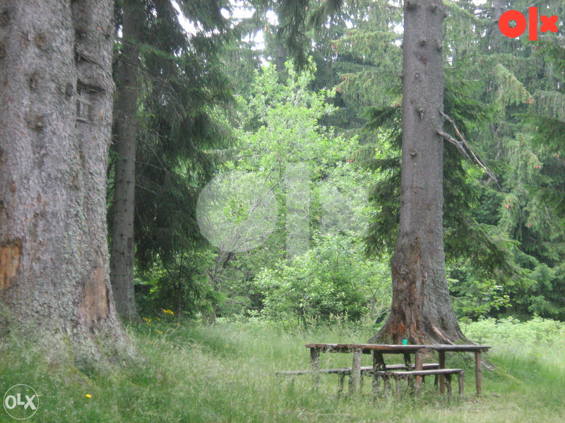 Zemljište Vareš 70000m2  (pola livada -pola šuma)..Ravan dio 4
