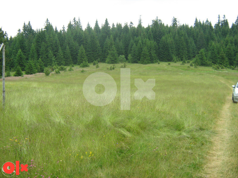 Zemljište Vareš 70000m2  (pola livada -pola šuma)..Ravan dio 6