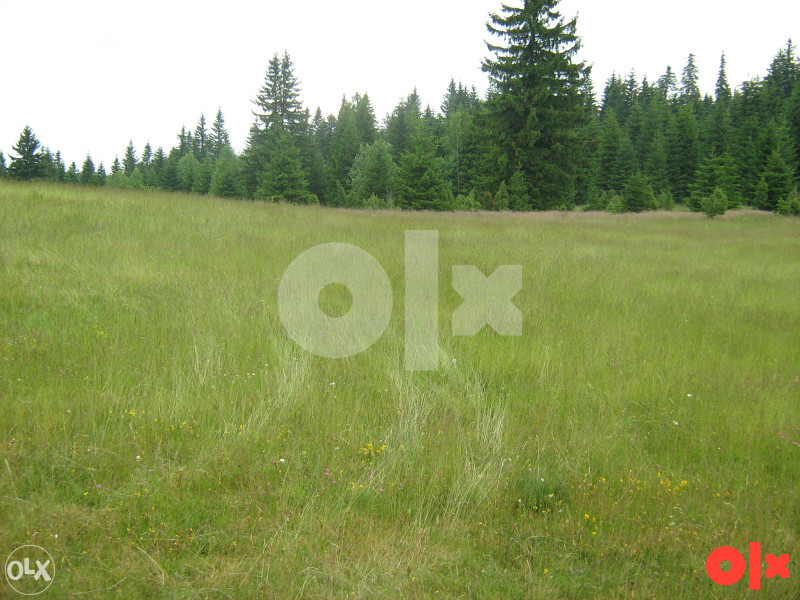 Zemljište Vareš 70000m2  (pola livada -pola šuma)..Ravan dio 7