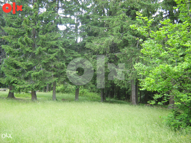 Zemljište Vareš 70000m2  (pola livada -pola šuma)..Ravan dio 8