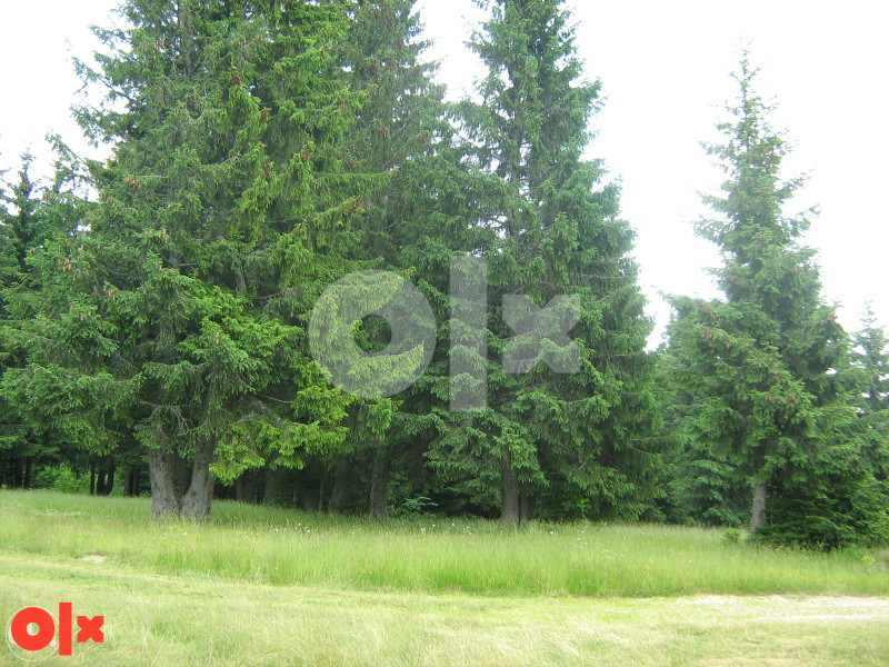 Zemljište Vareš 70000m2  (pola livada -pola šuma)..Ravan dio 9