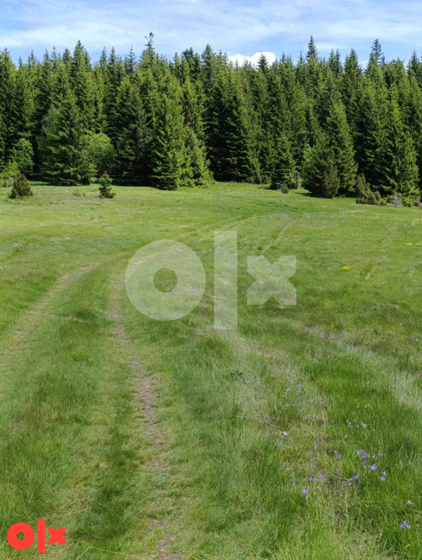 Zemljište Vareš 70000m2  (pola livada -pola šuma)..Ravan dio 12