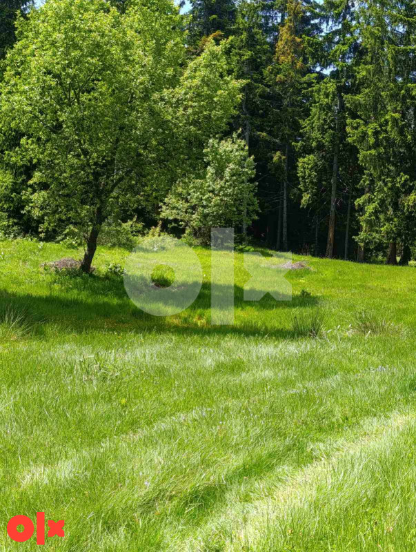 Zemljište Vareš 70000m2  (pola livada -pola šuma)..Ravan dio 13