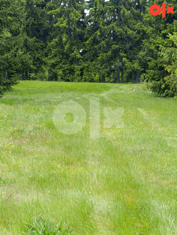 Zemljište Vareš 70000m2  (pola livada -pola šuma)..Ravan dio 15
