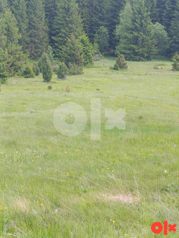 Zemljište Vareš 70000m2  (pola livada -pola šuma)..Ravan dio 16
