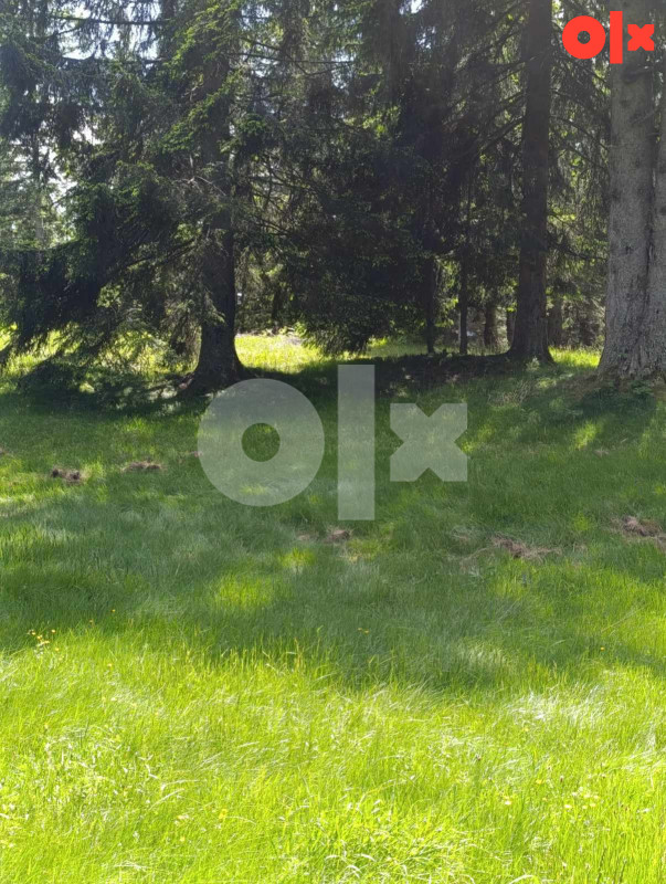 Zemljište Vareš 70000m2  (pola livada -pola šuma)..Ravan dio 17