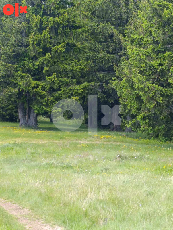 Zemljište Vareš 70000m2  (pola livada -pola šuma)..Ravan dio 19