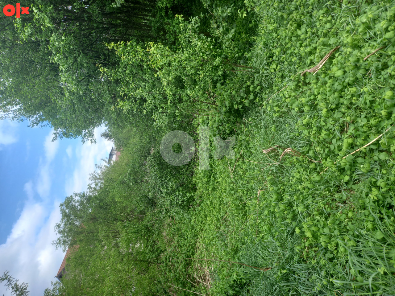 Zemljište Ilidža 1500m2 3