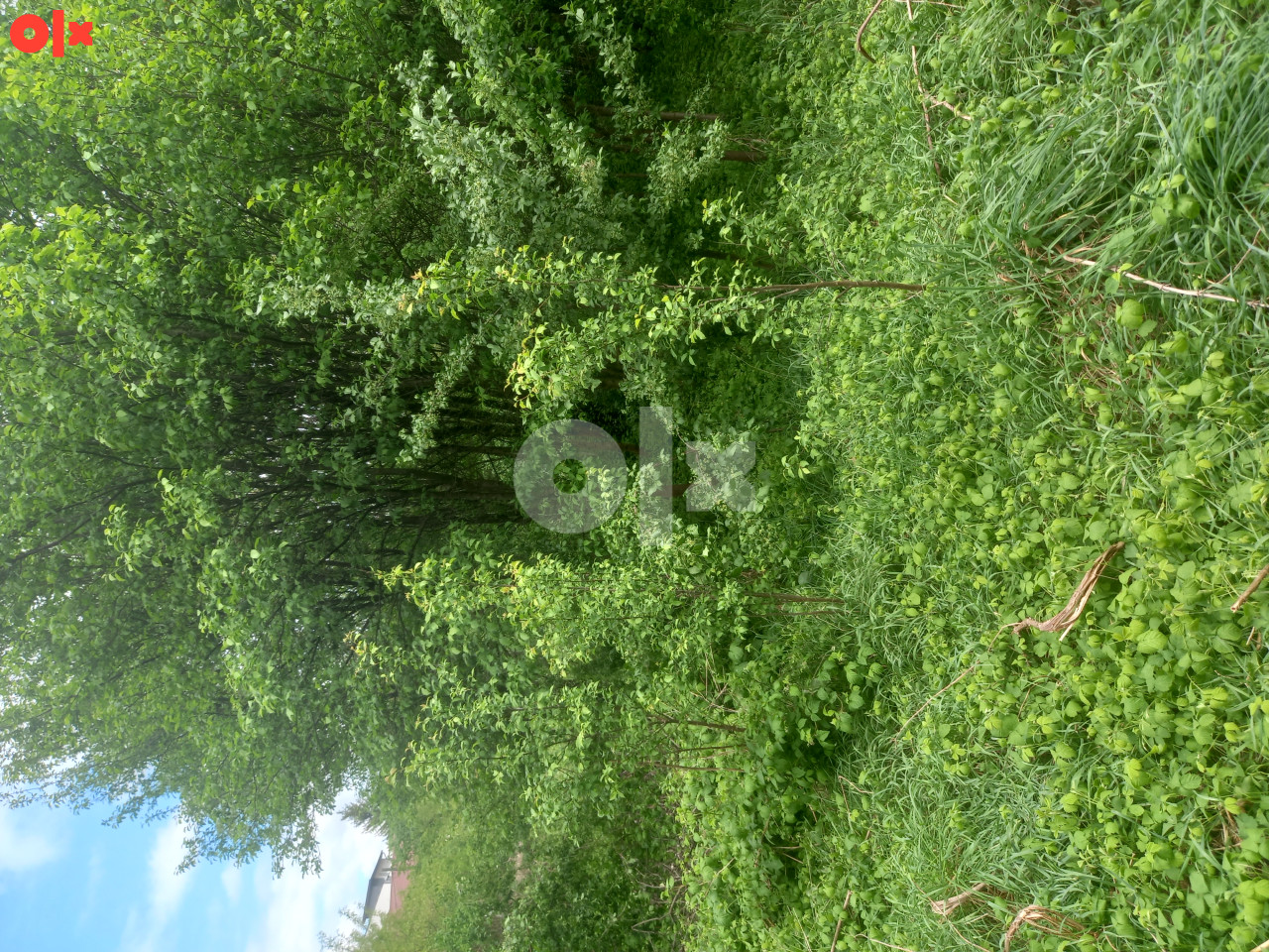 Zemljište Ilidža 1500m2 4